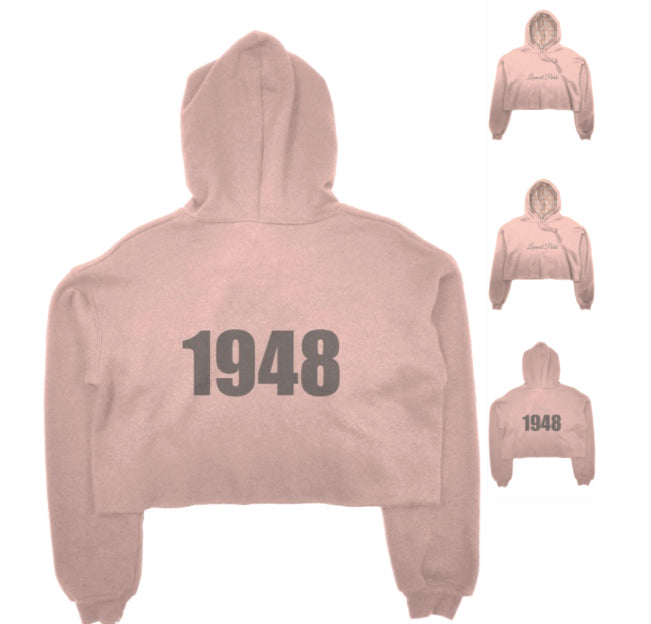 LEIMERT PARK CROP HOODIE- PINK